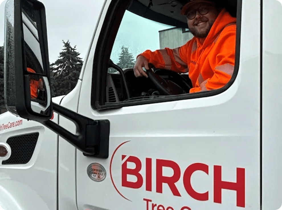 Birch Tree Care